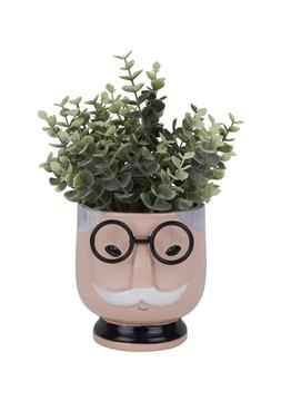 Homesense-face pot with fake plant &pound;9.99 (RRP &pound;XX)