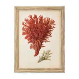 15. Homesense - Red framed coral print - £19.99