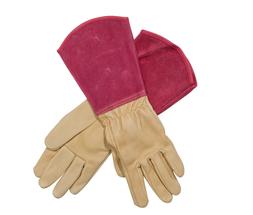 Red & Beige Gloves