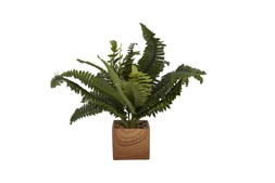Fake plant &pound;12.99
