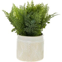 Green Artificial fern plant &pound;12.99