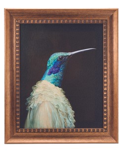 Heavy Petals humming bird portrait RRP 24.99