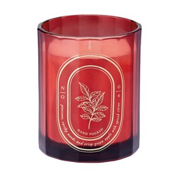 Home Scents Red Balsam Orchard Candle £9.99