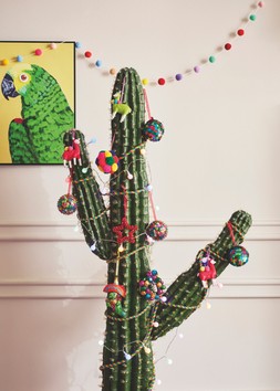 Homesense Christmas - Fiesta : Cactus 2