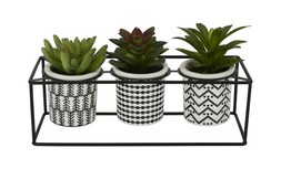 Homesense Fake Cactus &pound;9.99