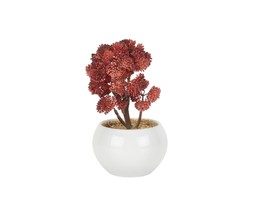 Homesense fake plant &pound;4.99