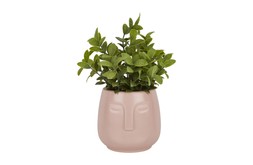 Homesense fake plant &pound;7.99