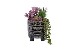 Homesense - Fake Plants and in Black Patterned Pot, &pound;6.99