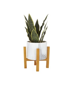 Homesense fakeplant &pound;9.99