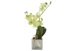 HOMESENSE FAUX ORCHID &pound;9.99
