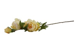 HOMESENSE FAUX PEONIE &pound;3.99
