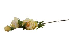 Homesense - Faux Peonie, &pound;3.99