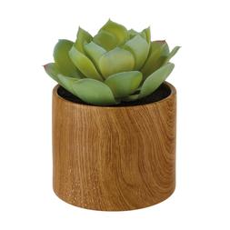 Homesense - Faux Succulent Pot £5.99