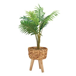Homesense Gifting palm plant in pot with legs &pound;59.99