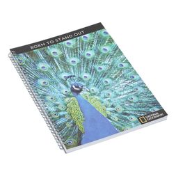 Homesense - peacock Notebook, &pound;5.99 (1)