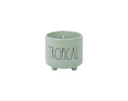 Homesense - Tropical Green Ceramic Scented Candle, &pound;9.99