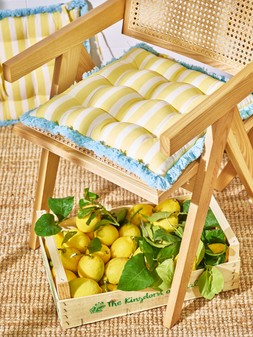 Yellow & White Striped Fringed Seat Pad £19.5