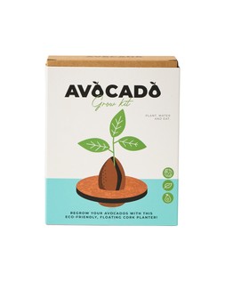Avocado Grow Kit