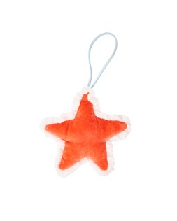 Oliver Bonas Coral Issey Star £6.50