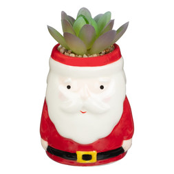 CHRISTMAS SUCCULENTS SANTA £2 (413340)