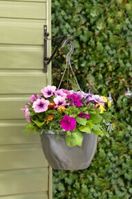 https://www.prshots.es/contents/archives/3552/1530/images/thumb350x287_auto/dobbies-garden-centres_2-for-gbp15-spring-hanging-pots-lifestyle_b1462_thumb.jpg