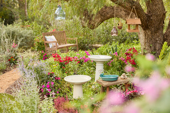 https://www.prshots.es/contents/archives/3552/1530/images/thumb350x287_auto/dobbies-garden-centres_somerset-bench-gbp199_thumb.jpg