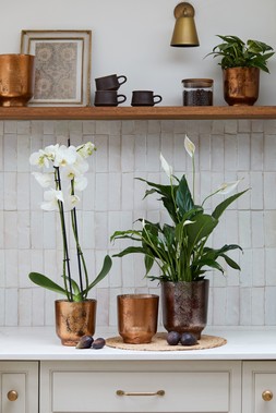 METALLIC COPPER GLASS HOLDER H9.5CM W9CM £12.99, METALLIC COPPER GLASS HOLDER H15CM W13.3CM £19.99 & METALLIC BRONZE GLASS HOLDER H19CM W15.5CM £24.99