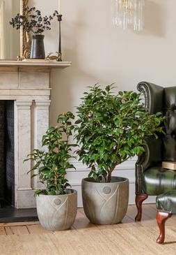 KEW EMBOSSED VERDI WASHED PLANTER (Available in other sizes) &pound;39.99 - &pound;59.99