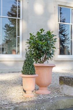 KEW OUTDOOR TERRACOTTA PETAL URNS &pound;69.99- &pound;179.99