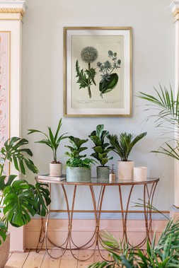 KEW STONEWARE SAGO PALM PLANTERS IN IVORY & OLIVE &pound;17.99- &pound;29.99,KEW STONEWARE SAGO PALM BOWL IVORY & SAGE &pound;44.99