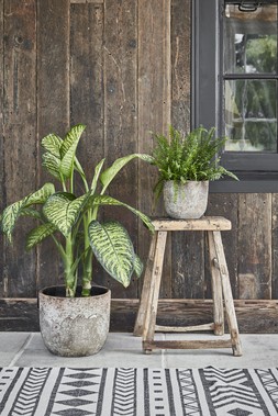 Albero Planter H26cm D28cm &pound;39.99, Albero Planter H14cm D16cm &pound;14.99 1