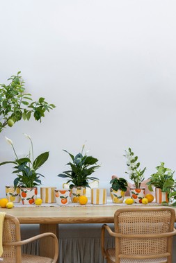 AMALFI RUSTIC LEMON & ORANGE PLANTERS £14.99 -£18.99