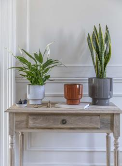 Aries Glazed Handles Planter Charcoal H20cm D19cm &pound;29.99