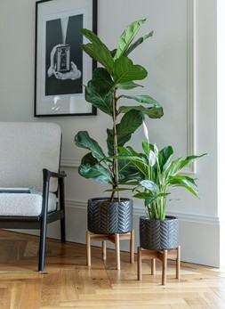 Aspen Chevron Mercury Planter H40cm D28cm &pound;59.99
