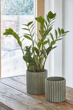 Azalea Stone Ribbed Speckle Green Planter H20cm D20.5cm &pound;22.99 1