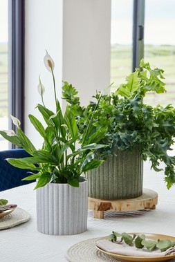 Azalea Stone Ribbed Speckle Grey Planter H15.5cm D15.5cm &pound;14.99