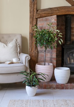 Beatrice Terracotta Planter H35cm D35cm &pound;59.99