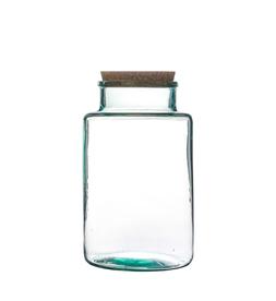 Bottle Shape Medium Terrarium Diy Kit H22.5cm W14cm &pound;29.99