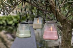 CITRONELLA GARDEN LIGHTS WITH HANGER SUMMER BLOSSOM, CITRONELLA GARDEN LIGHTS WITH HANGER LEMON GRASS & CITRONELLA GARDEN LIGHTS WITH HANGER GINGER &pound;6.99 each