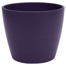 Cyclamen Planter Purple H10cm D12cm &pound;3.99