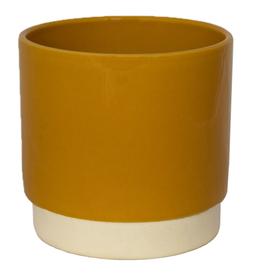 Enos Pot Mustard H7.5cm D7cm &pound;3.99, H10.5cm D10cm &pound;5.99, H11.5cm D11.5cm &pound;6.99, H13.5cm 13cm &pound;7.99