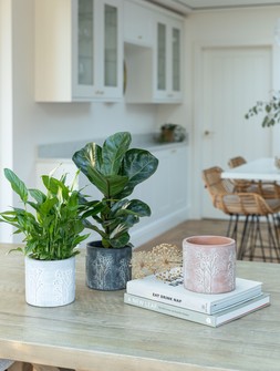 Hallie Charcoal Planter H13cm D14cm &pound;7.99, Hallie Terracotta Planter H13cm D14cm &pound;7.99, Hallie White Planter H13cm D14cm &pound;7.99