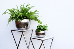 Hammered Bowl Nickel:Black 30cm &pound;59.99 1