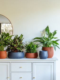 Handthrown Planter Azurite 19cm &pound;19.99, Handthrown Planter Burnt Umber 19cm &pound;19.99, Handthrown Statement Bowl Azurite 38cm &pound;39.99, Handthrown Planter Burnt Umber 25cm &pound; &pound;29.99, Handthrown Statement Bowl Burnt Umber 30cm &pound;29.99