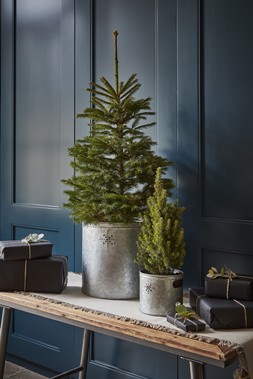 Indoor Christmas Tree Bucket With Star In Galvanised Steel H13Cm W14.5Cm &pound;15.99 3