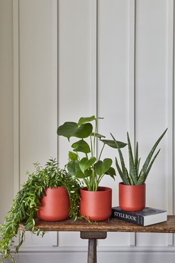 Lisbon Planter Coral H26cm D26cm &pound;29.99