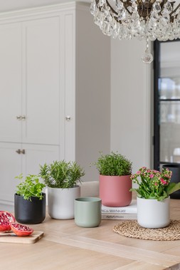 LISBON PLANTERS in ANTHRACITE, SAGE, WHITE & LIGHT GREY £4.99. - £29.99