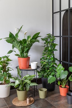 OSLO TAPER PLANTER IN COTTON, CAYENNE AND OLIVE £5.99 TO £39.99