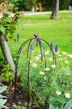 OUTDOOR PLANT SUPPORT BRONZE H50CM W26CM