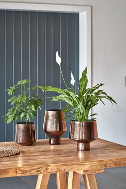 OPULENT TALL CURVED METALLIC BRONZE VASE H25CM W16CM £24.99, OPULENT CURVED METALLIC BRONZE PLANTER H20CM W20CM £19.99